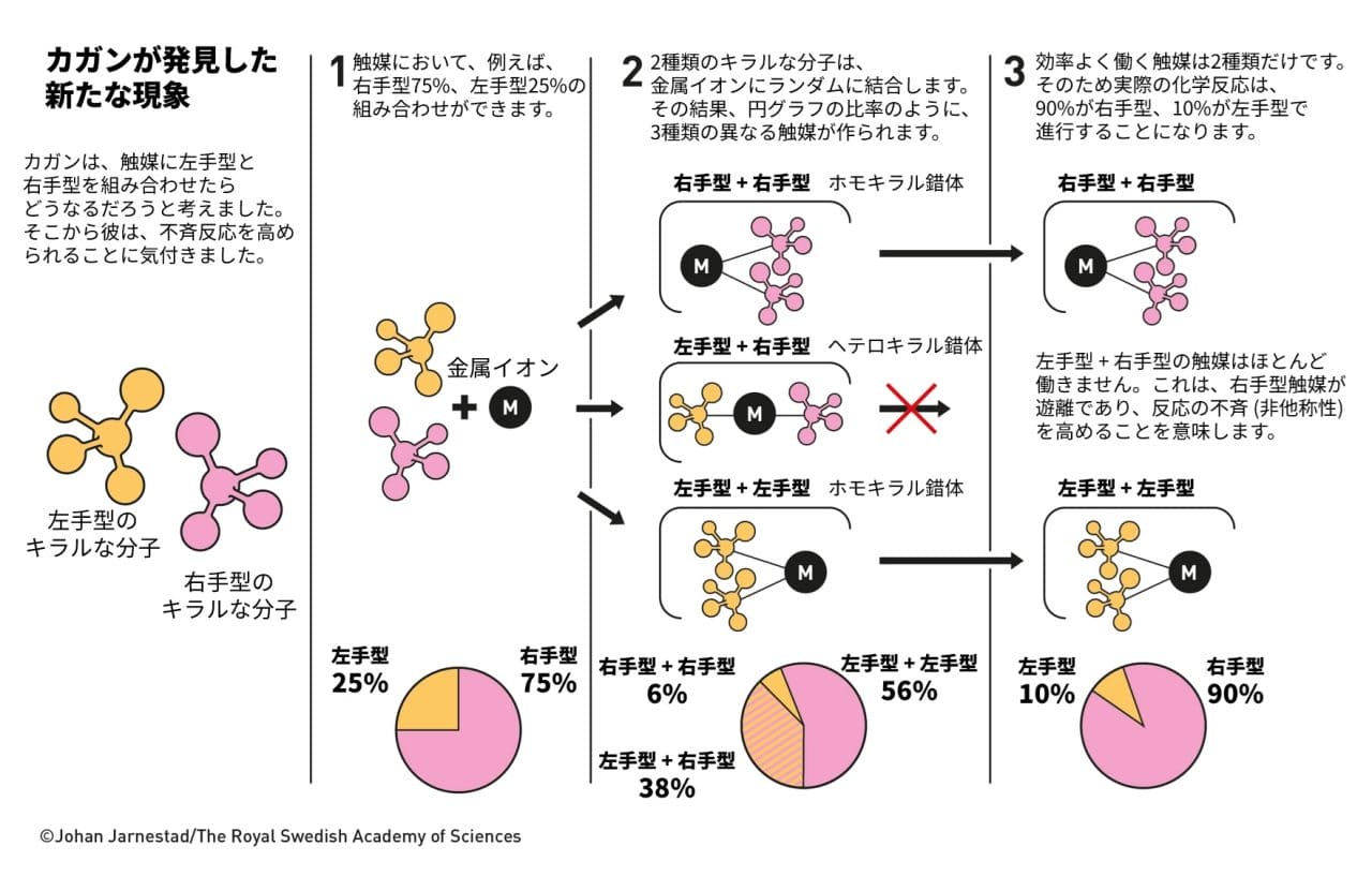 図4: カガン氏は、これまで考えられてきた単純な比例関係では説明のつかない、鏡像異性体の片方に偏る現象を発見しました。これを非線形効果と呼びます。（Credit: The Royal Swedish Academy of Sciences / Illustration: Johan Jarnestad / 日本語訳は筆者 (彩恵りり) による）