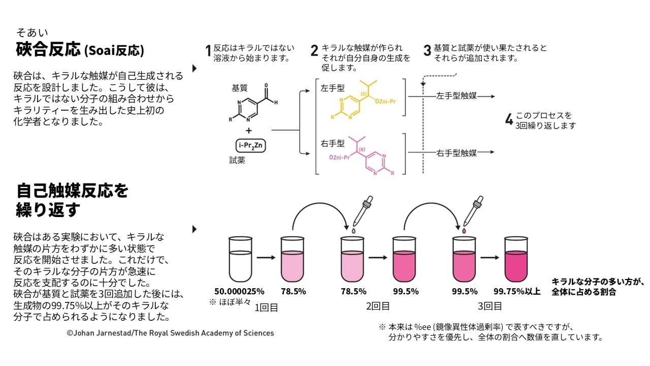 図6: 硤合憲三さんが発見した硤合反応は、キラリティーがほとんど偏っていない状態から100%近くまで偏らせる反応であり、史上初の正の非線形効果を持つ不斉自己触媒作用の発見例となります。（Credit: The Royal Swedish Academy of Sciences / Illustration: Johan Jarnestad / 日本語訳は筆者 (彩恵りり) による）