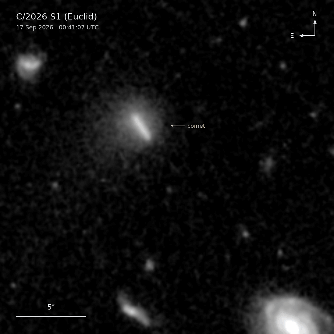 ユークリッド(Euclid)宇宙望遠鏡が観測した彗星「C/2026 S1(Euclid)」のアニメーション画像。りゅう座の領域「Euclid Deep Field North(ユークリッド・ディープ・フィールド・ノース)」の観測中に取得された3つの画像を使って作成したもの(Credit: ESA/Euclid/Euclid Consortium/NASA, M. Pöntinen et al. 2026)