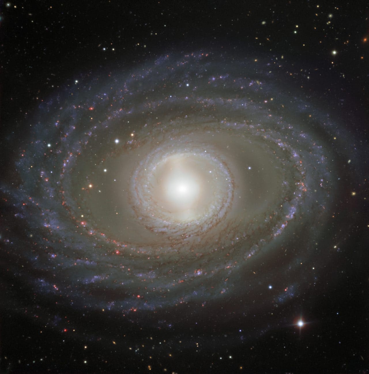 ESOのVLT(超大型望遠鏡)で観測した棒渦巻銀河「NGC 1398」(Credit: ESO)
