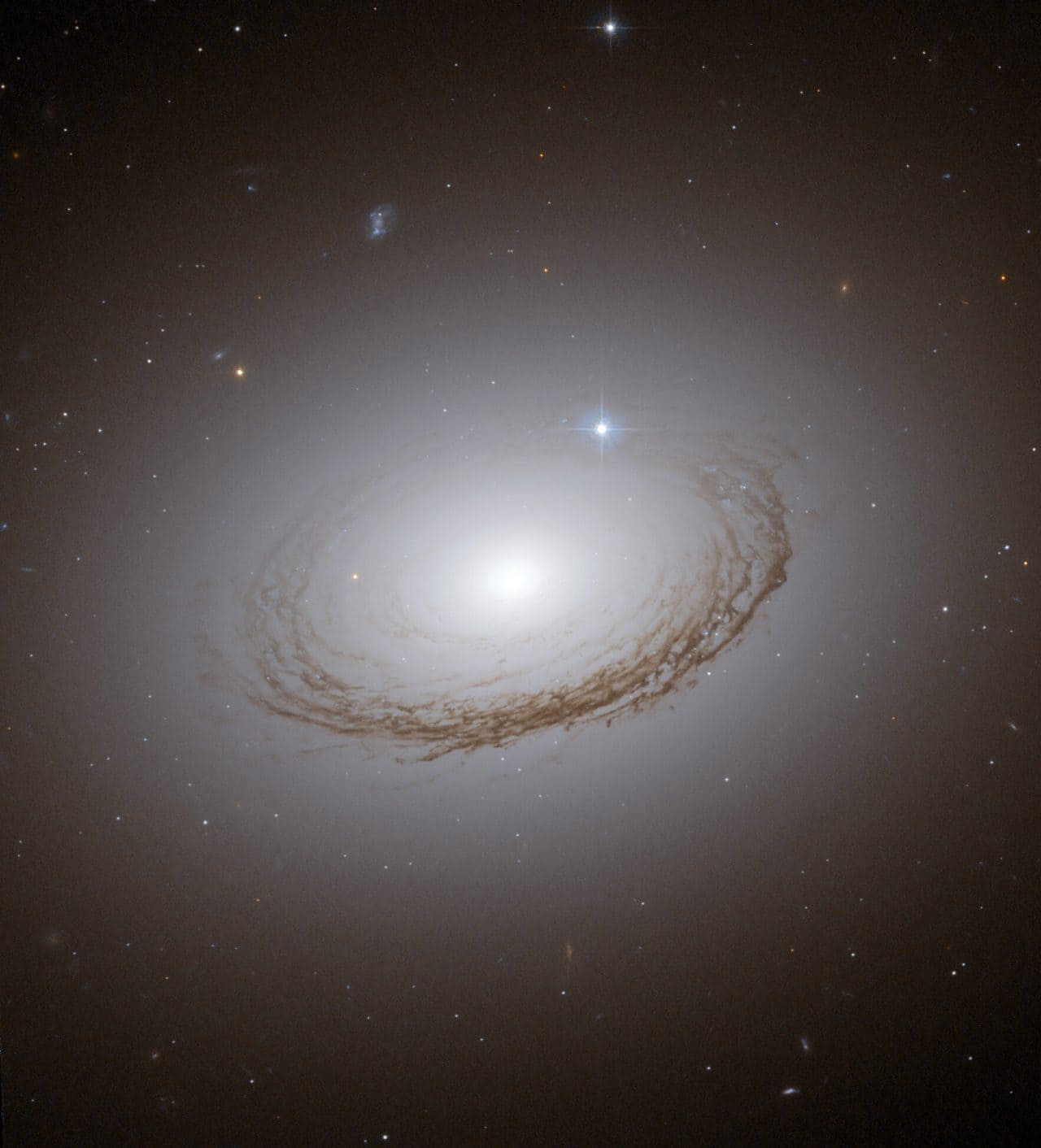 ハッブル（Hubble）宇宙望遠鏡が観測したレンズ状銀河「NGC 7049」（Credit: NASA, ESA and W. Harris (McMaster University, Ontario, Canada)）