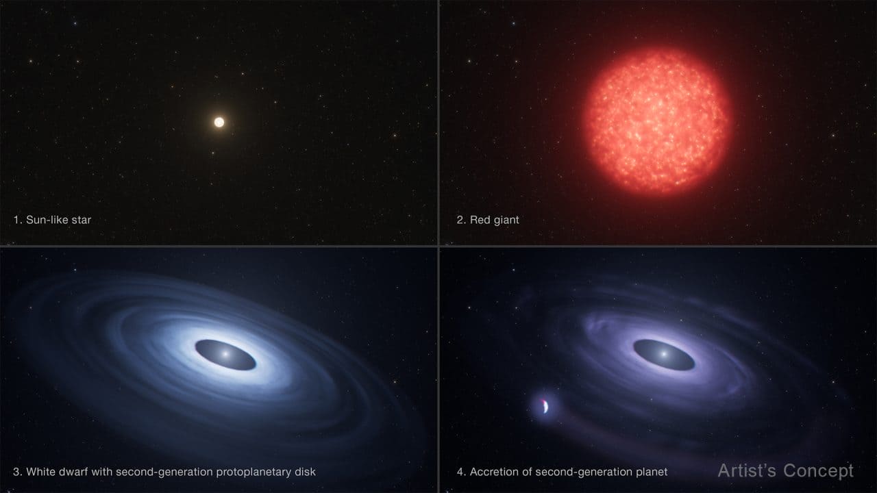 老いた恒星の周囲で惑星が形成されるプロセスを説明した図。太陽のような比較的軽い恒星（1）は、やがて赤色巨星へと進化（2）して周囲へガスや塵を放出するようになり、中心核だけが残った白色矮星へと進化する（3）。放出された物質から惑星が形成されると（4）、はぎ取られた物質が白色矮星に落下して痕跡を残す可能性がある（Credit: Illustration: NASA, ESA, Leah Hustak (STScI)）