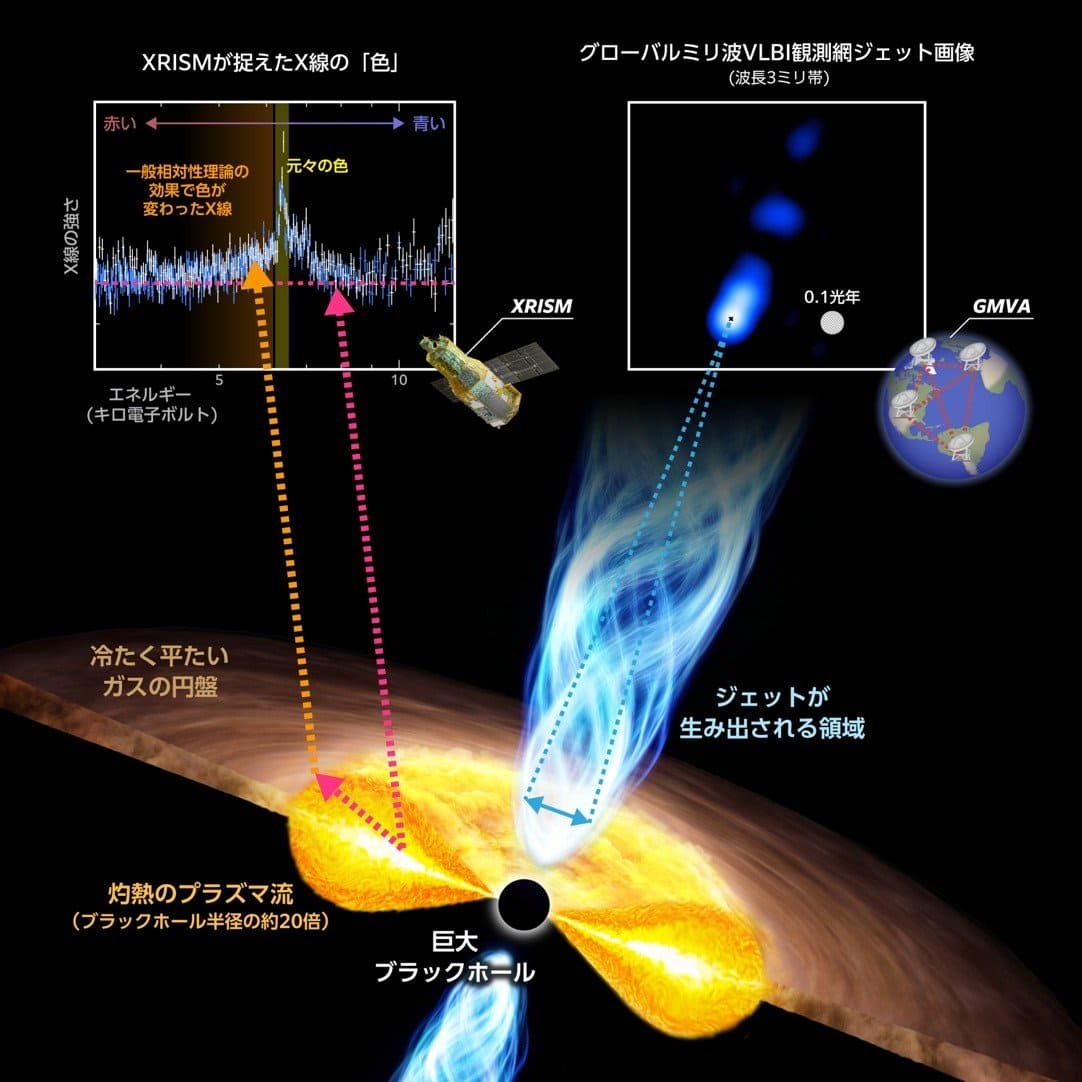 今回の研究成果をもとに描かれたジェットの根元周辺の様子(注釈と観測データ付き)。低温の円盤がブラックホール半径の約20倍の位置で途切れ、その内側は高温のプラズマ流になっていることが示された。東北大学のプレスリリースから引用(Credit: 東北大学)