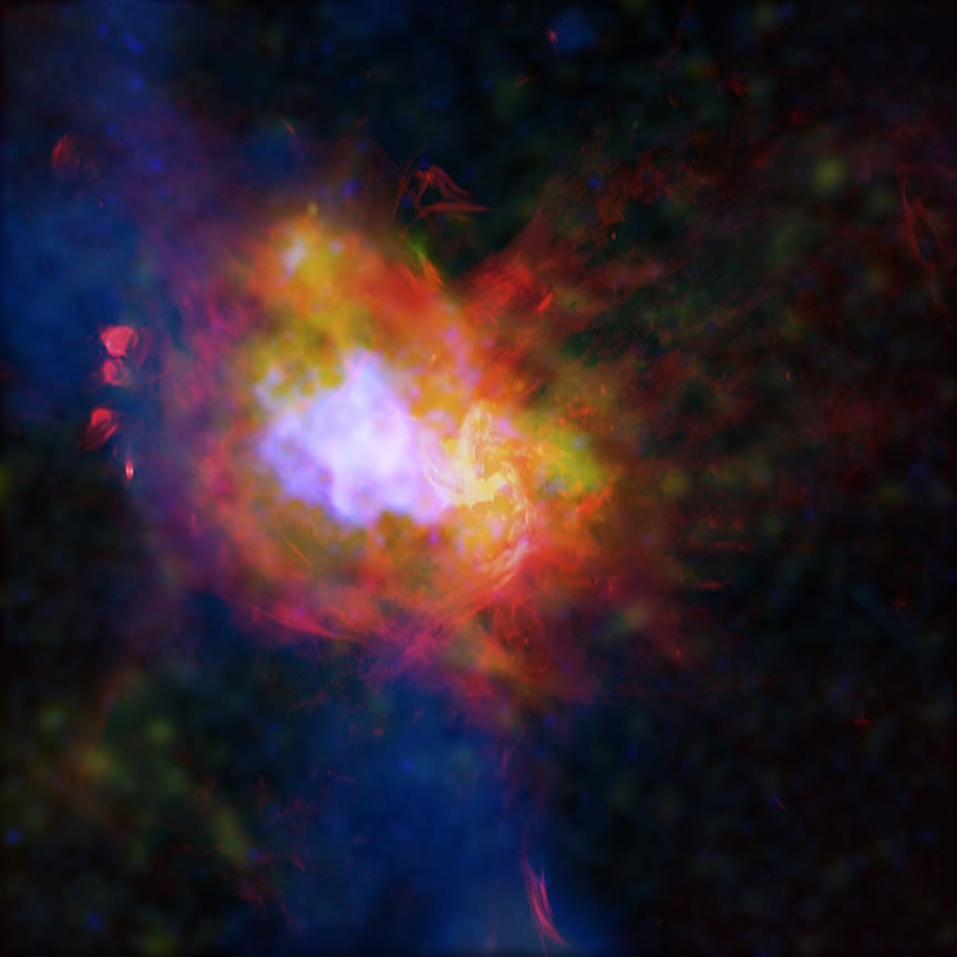 チャンドラ(Chandra)X線宇宙望遠鏡などが観測した超新星残骸「いて座Aイースト」(Credit: X-ray: NASA/CXC/McGill Univ./M. Balakrishnan et al.; Radio: NSF/NRAO/VLA; Sub-mm: EAO/James Clerk Maxwell Telecope; Image Processing: NASA/CXC/SAO/P. Edmonds, N. Wolk)
